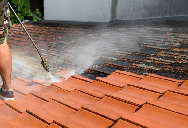 Best Concrete Pressure Washing  in Snow Hill, MD