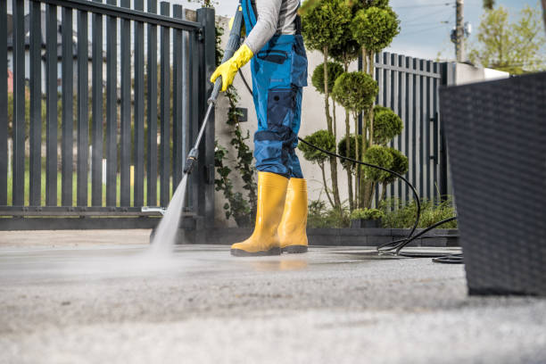 Best Exterior Home Cleaning  in Snow Hill, MD