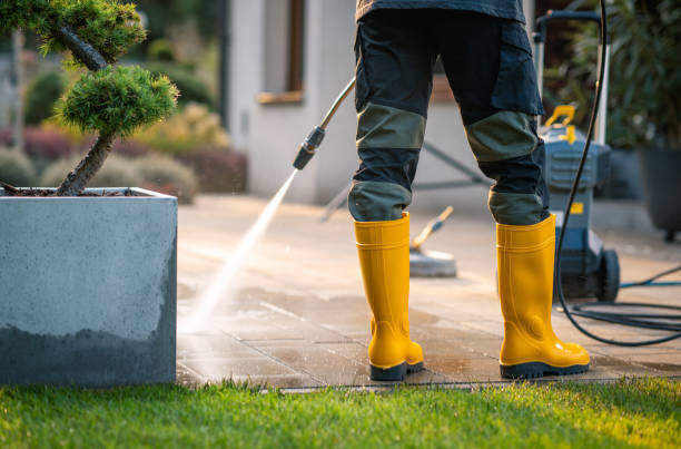 Best Pressure Washing Company Near Me  in Snow Hill, MD